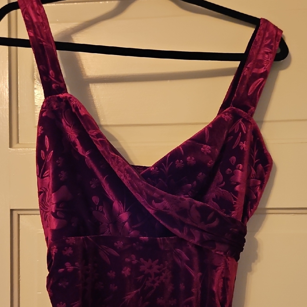 Cider Velvet Maxi Dress in Burgundy